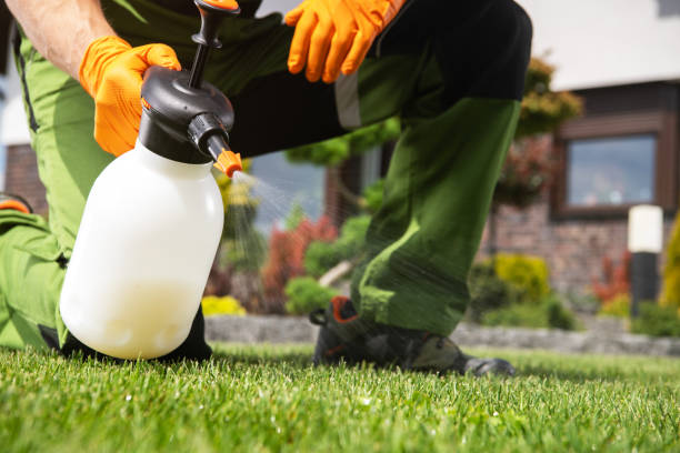 Best Affordable Pest Control Services  in Auburn, IN