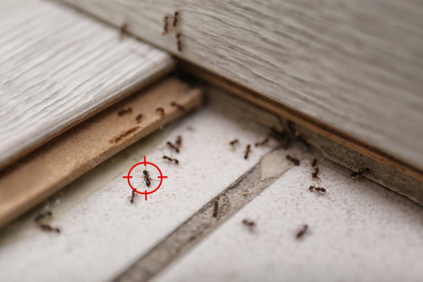 Best Wildlife Control Services  in Auburn, IN