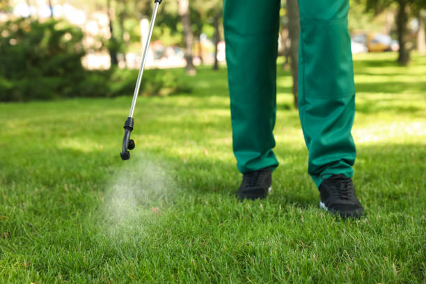 Best Termite Control Services  in Auburn, IN
