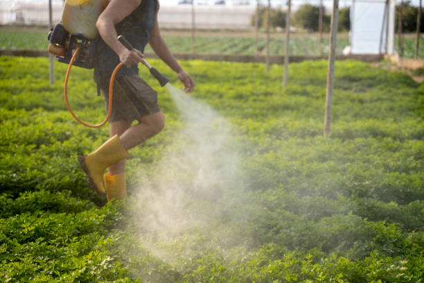Best Best Pest Control Companies  in Auburn, IN