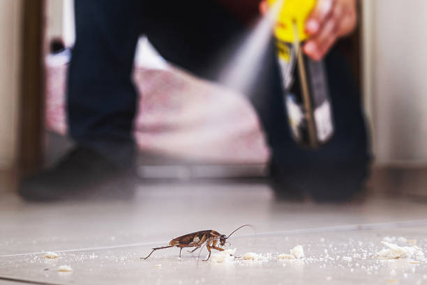 Wildlife Control Services in Auburn, IN