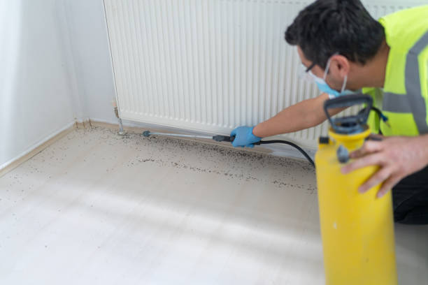 Best Cockroach Control Services  in Auburn, IN