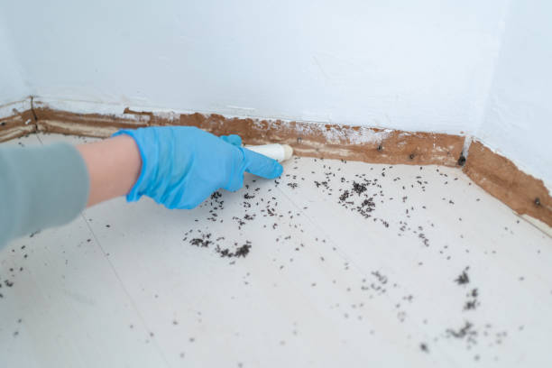 Best Residential Pest Control  in Auburn, IN
