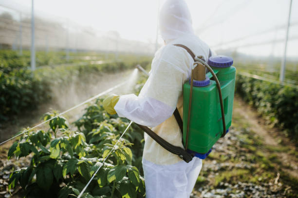 Best Best Pest Control Companies  in Auburn, IN